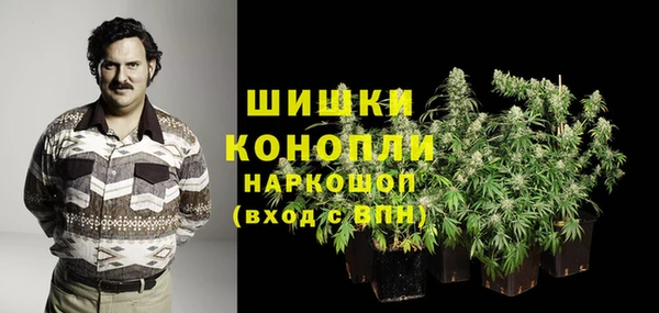 гидра Алексин