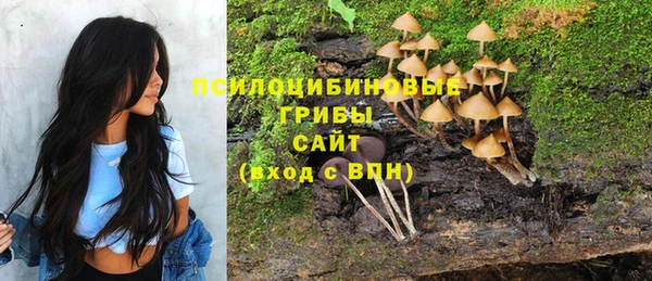 гидра Алексин