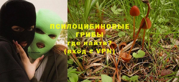 гашик Абаза